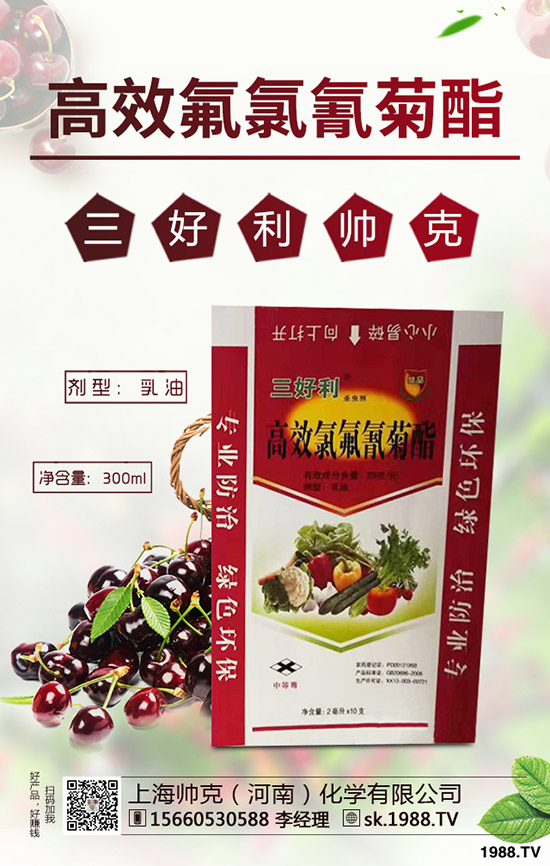 蒜黃一般是什么時(shí)間播種，蒜黃的種植技巧有哪些？