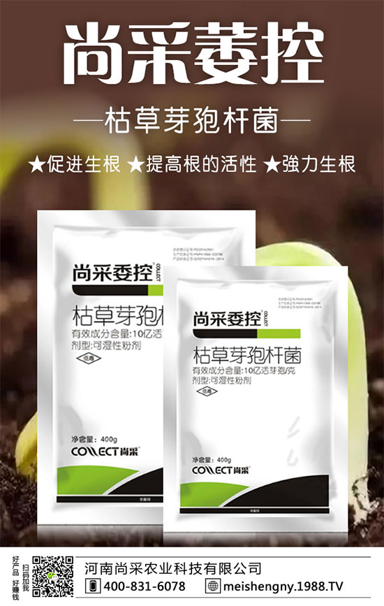 大棚草莓技巧及管理方法，大棚草莓施肥要點(diǎn)！