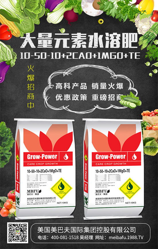 2020年種植什么蔬菜掙錢嗎？2020年種植什么蔬菜前景好？