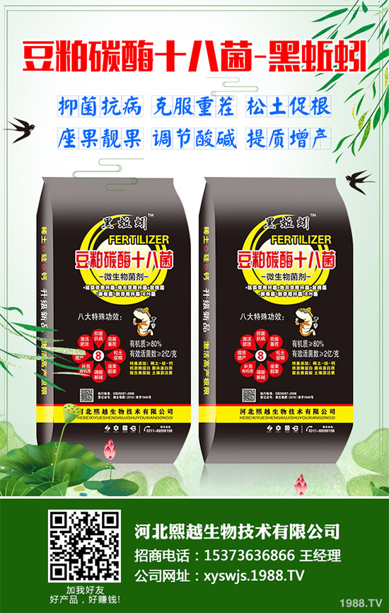 大棚韭菜該怎么種？冬季大棚韭菜種植技術要點