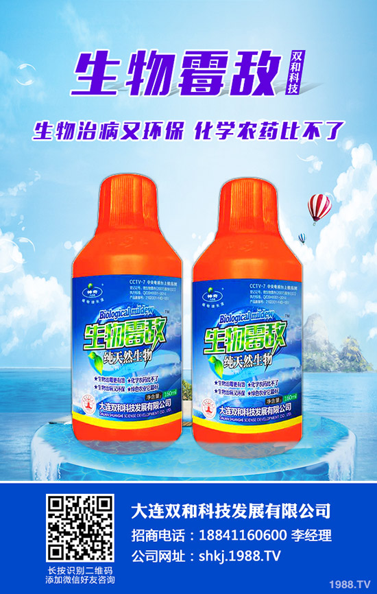 平菇種植其實不難，注意這幾點，產(chǎn)量會很高！