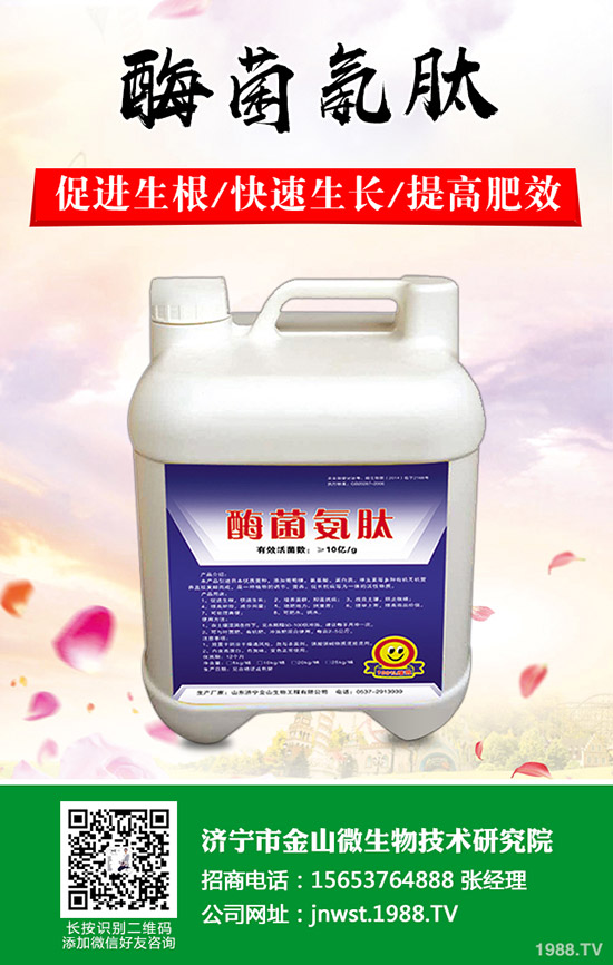 李子樹怎么修剪？李子樹的修剪方法有哪些呢？