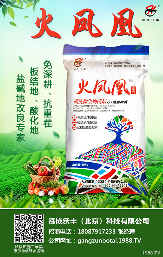     2020��Nֲ����ٍ�Xô��ǰ�����ӣ�һ������Ͷ�Y��Ч�������