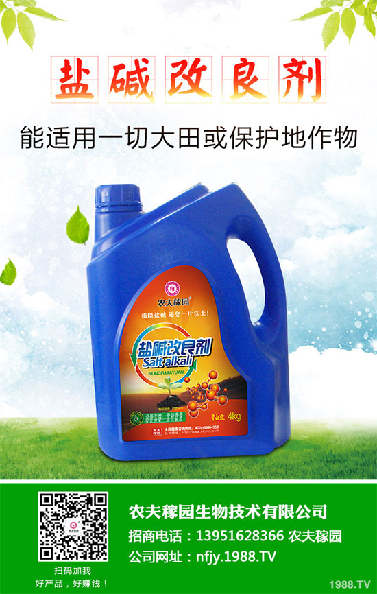 什么是蔓荊子？蔓荊子的功效作用及用法禁忌