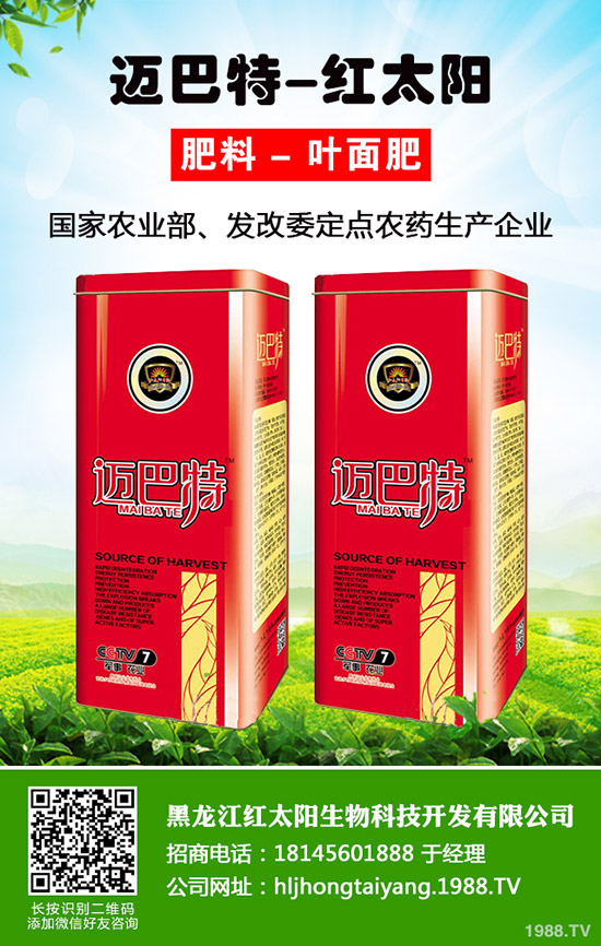 菠蘿種植多久結果？一年結幾次果？菠蘿種植方法！