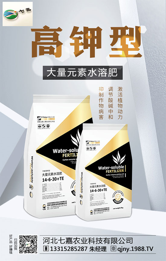 山藥價(jià)格多少錢一斤？2020年山藥種植前景分析！