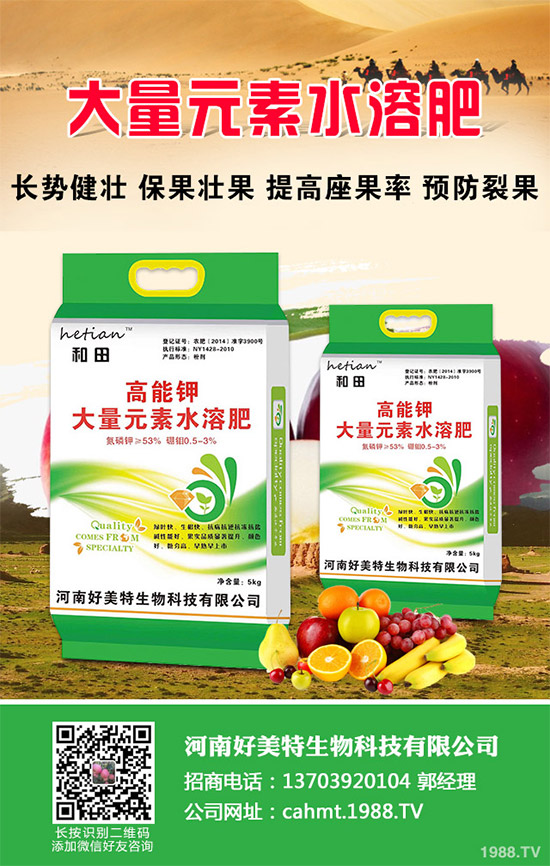 吃蘑菇有什么好處？蘑菇的營養(yǎng)價(jià)值及功效作用