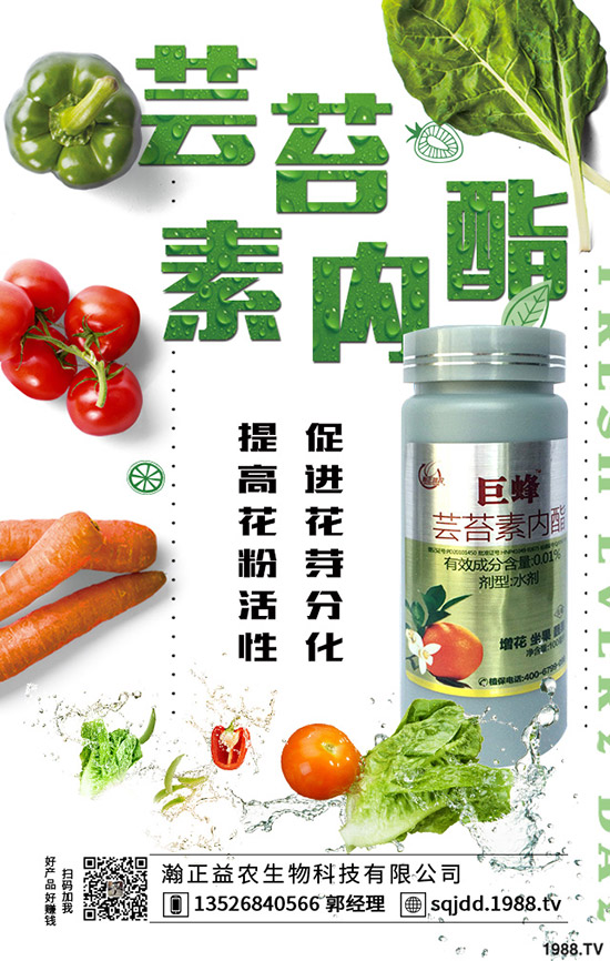 大棚蔬菜采光率低危害，如何提高大棚蔬菜采光率？