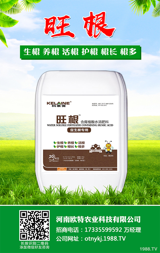 蘑菇種植需要什么條件？蘑菇種植環(huán)境要求