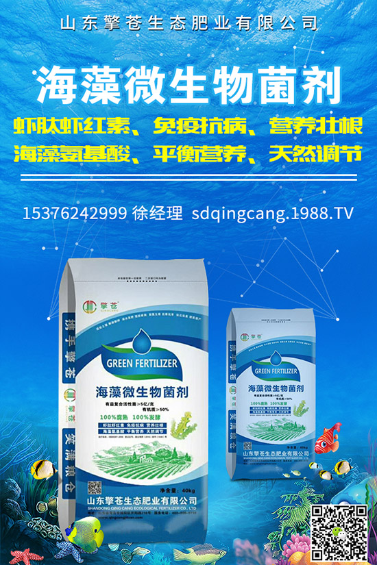     2019年12月2日復合肥行情回暖！最新企業(yè)出廠參考報價一覽！