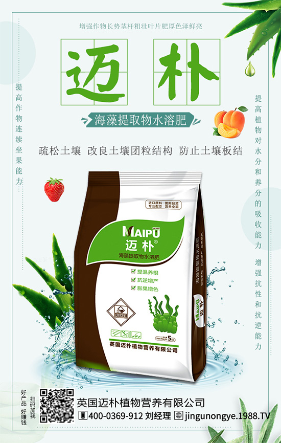 吃柑橘有什么好處？柑橘的營養(yǎng)價值！