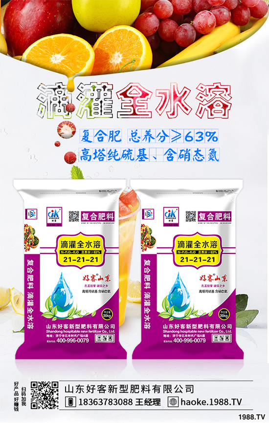 荊芥常見(jiàn)病害有哪些？該如何防治？荊芥常見(jiàn)病害的發(fā)生與防治技巧