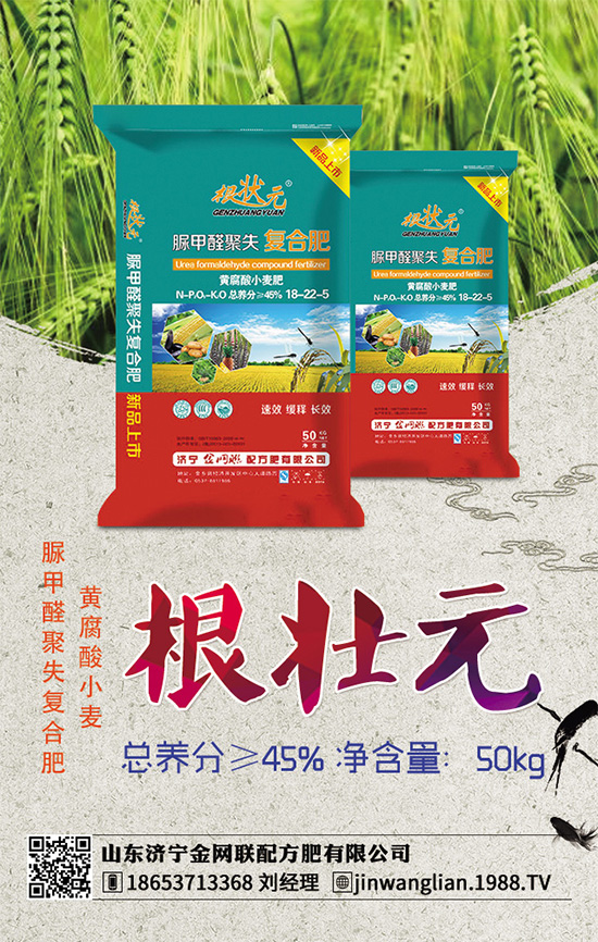 荊芥常見(jiàn)病害有哪些？該如何防治？荊芥常見(jiàn)病害的發(fā)生與防治技巧