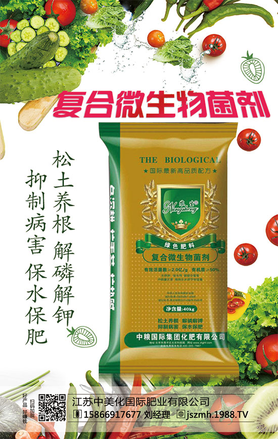     蘆筍市場價多少錢一斤？2020年蘆筍種植前景怎么樣？種植效益分析！