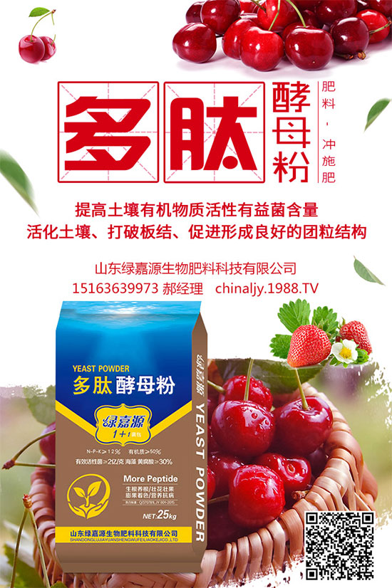 荊芥該如何種植？荊芥的種植環(huán)境要求