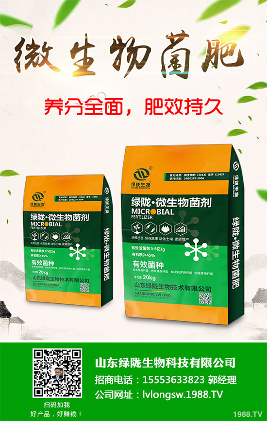 荊芥該如何種植？荊芥的種植環(huán)境要求