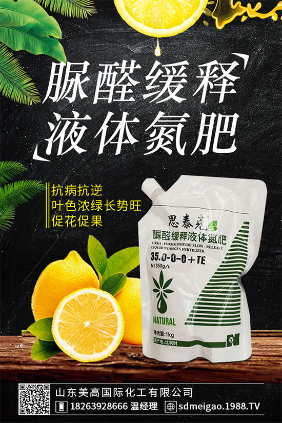 荊芥的功效作用有哪些？什么人不能吃荊芥？