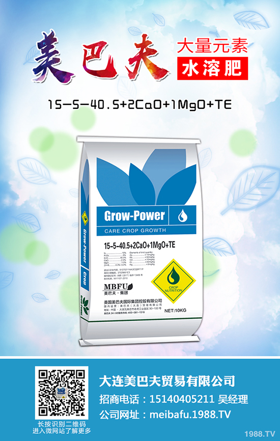 2020種植蒲公英賺錢嗎，蒲公英的種植前景和利潤怎么樣？