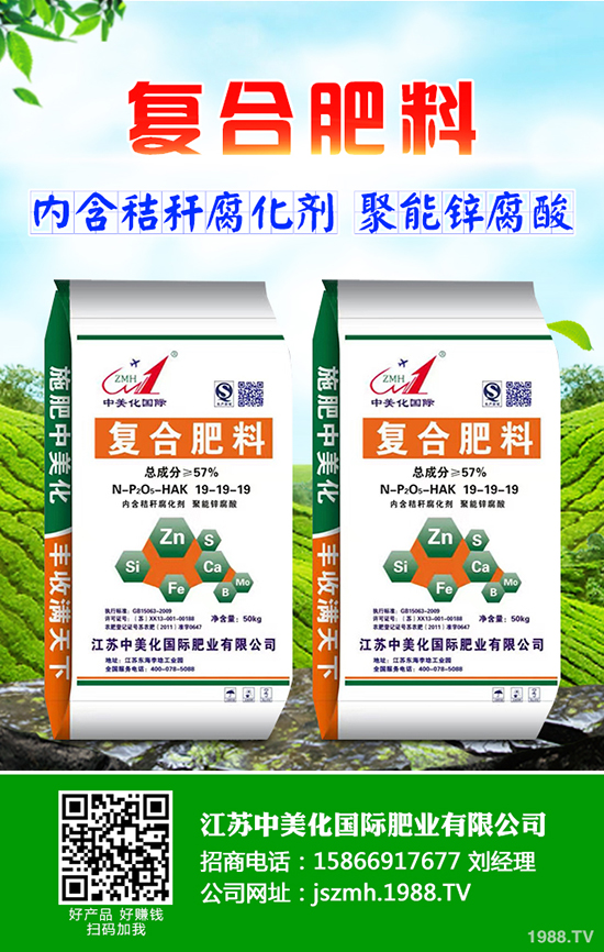 2020年茶油樹(shù)種植前景怎么樣？茶油樹(shù)種植方法有哪些