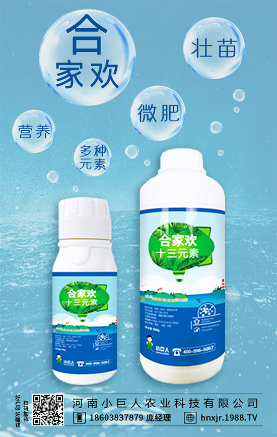 茶樹菇有哪些營養(yǎng)價值？茶樹菇的功效與作用！