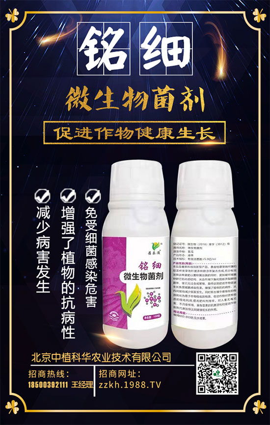 ��ռ�̙C(j��)���������A��������ֲ���A�ٺ�1988.TV���ل�(chu��ng)���x����