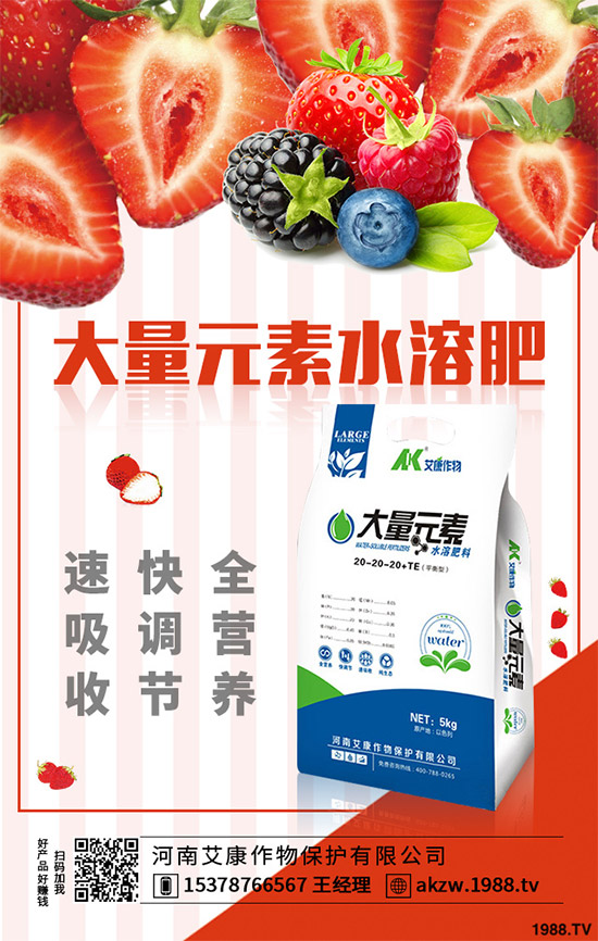 老虎姜該怎么種植？老虎姜高產(chǎn)種植技術(shù)管理