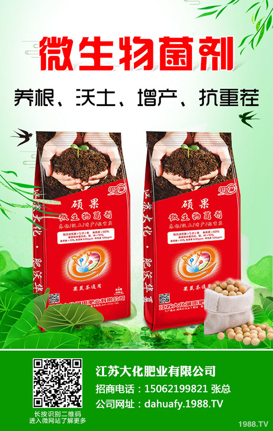 香菜一畝產(chǎn)量是多少？2020種植香菜賺錢嗎？前景和成本利潤如何？