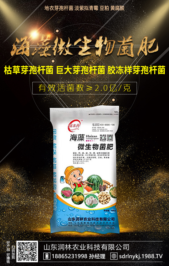 冬季大白菜比較火熱，但是怎樣施肥管理呢？