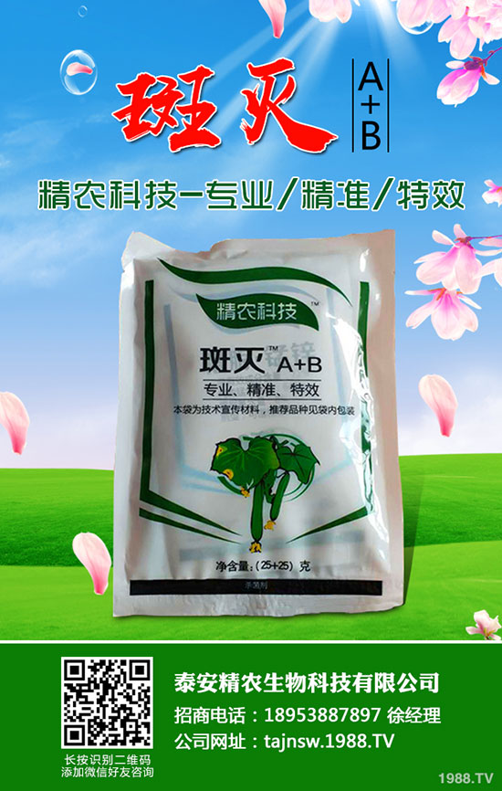 吃蠶豆對人體有哪些好處，蠶豆的功效與營養(yǎng)價值！