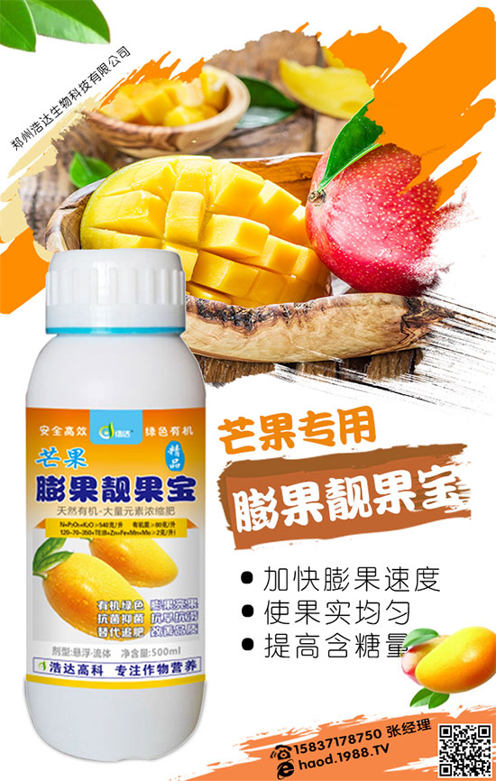 黃皮果的成本與利潤分析，黃皮果的種植技術！