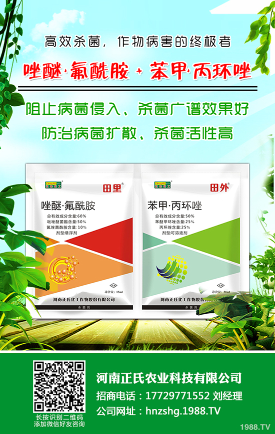 西梅種植的氣候條件，西梅種植的方法！