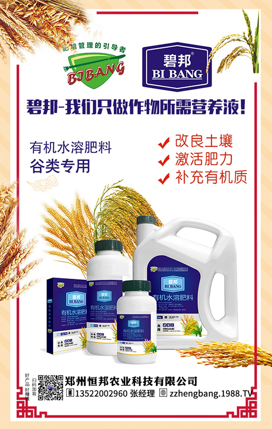 吃天麻有哪些好處？天麻的功效作用及食用禁忌