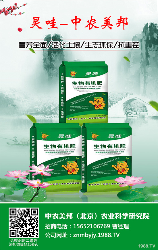 吃天麻有哪些好處？天麻的功效作用及食用禁忌