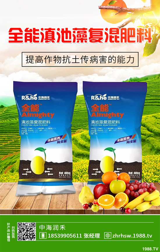 新鮮天麻和干天麻有哪些區(qū)別？那個(gè)效果更好？