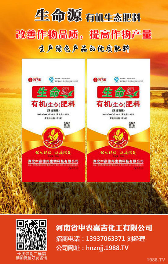 油桃的種植時間是何時，如何種植油桃？