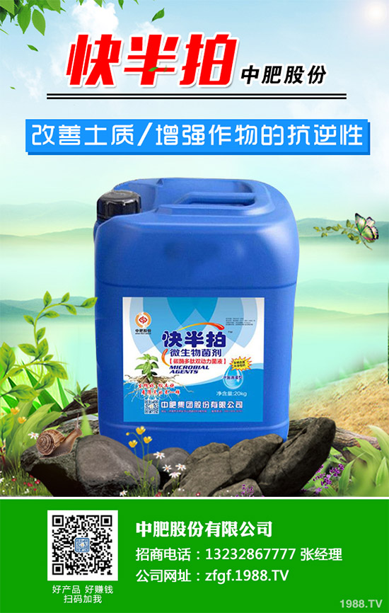 金線蓮該如何種植？金線蓮的種植及養(yǎng)管理