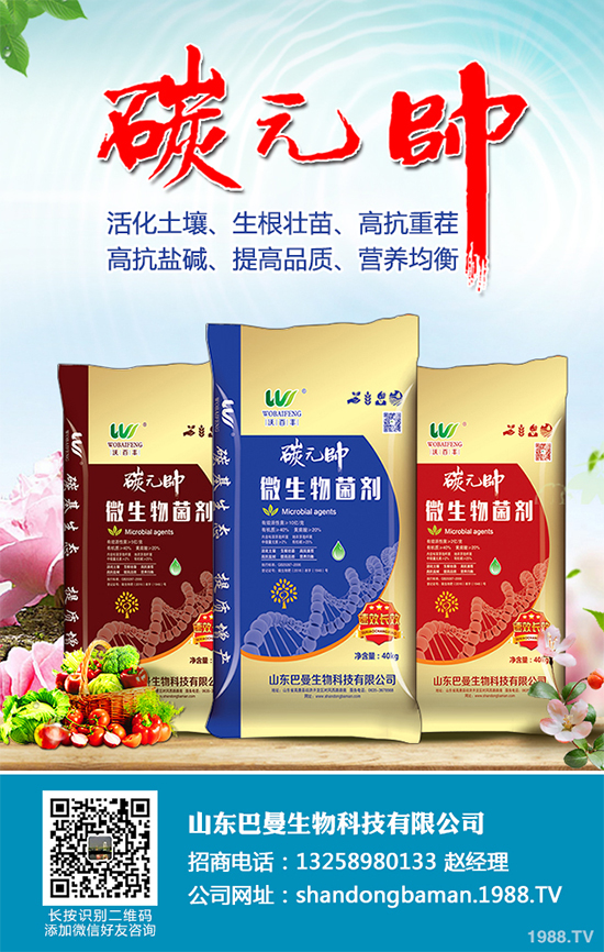 木耳菜有哪些營(yíng)養(yǎng)價(jià)值？木耳菜的功效作用