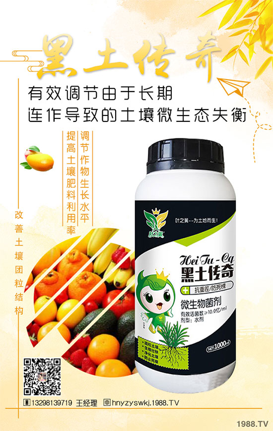 花椒樹什么季節(jié)種植？花椒樹的種植注意事項(xiàng)！