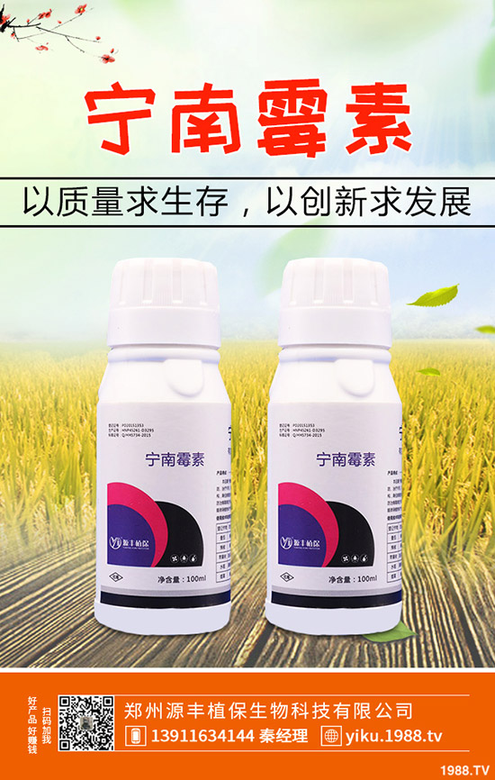 葛根的種植前景怎么樣，葛根的種植技術有哪些？