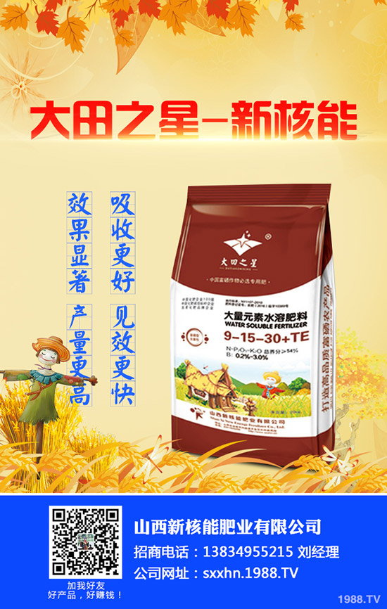     2020年早春辣椒什么時候種植？育苗技術(shù)及苗期管理要點！