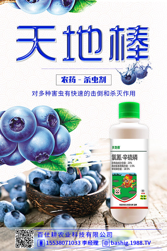 空心菜用什么肥好，空心菜的施肥技巧有哪些？