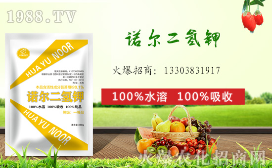 ��(zh��n)�Ժ���������(j��)�������Z����(gu��)�H�y��1988.TV�ل�(chu��ng)���x����