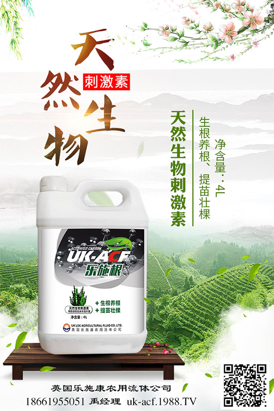 冬季該如何栽培馬鈴薯？七步輕松獲得高產(chǎn)