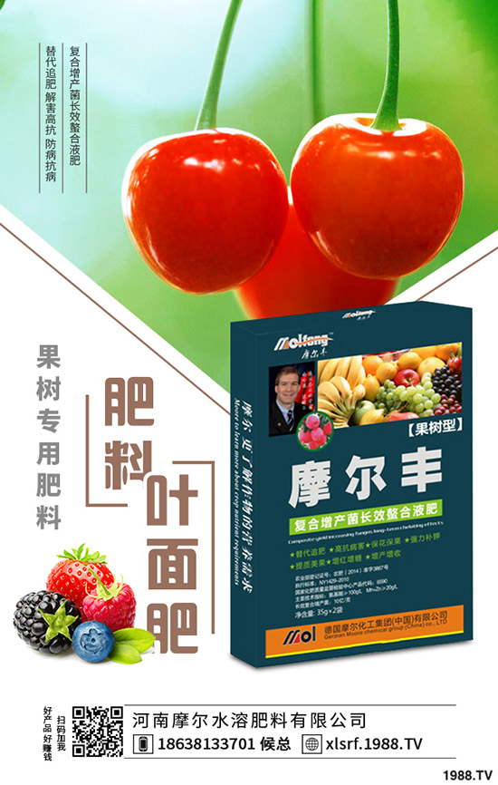 黃精種植到底掙不掙錢？黃精種植要點(diǎn)分析！