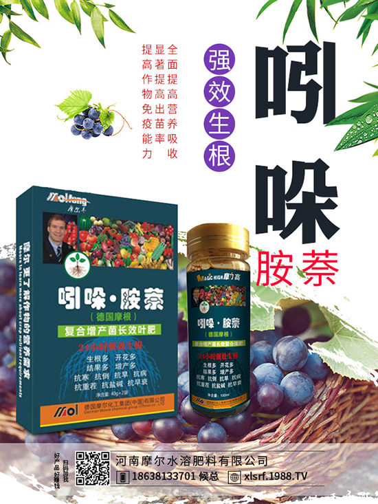 煙草主產(chǎn)地在哪里，煙草種植方法有哪些？