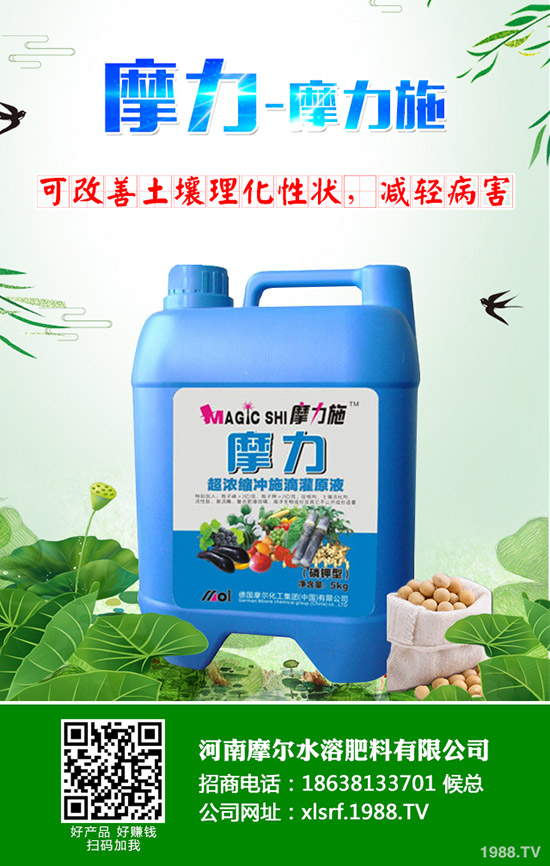 甜瓜用什么肥料好，甜瓜施肥技術(shù)有哪些？