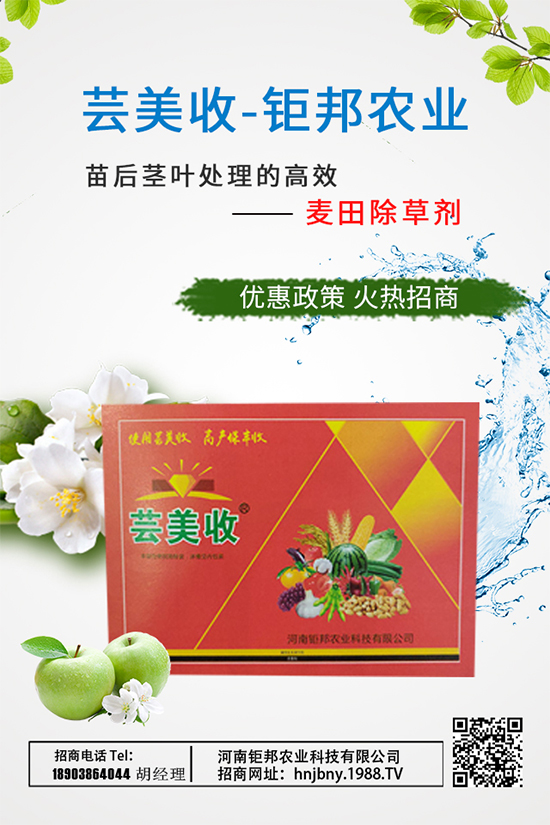 大蔥需肥特性，大蔥施肥技術(shù)要點(diǎn)有哪些？