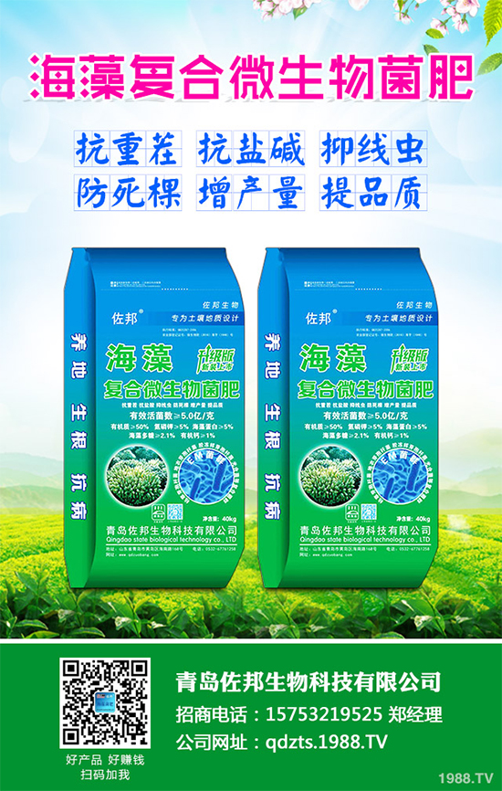     芹菜是日常生活中常見的蔬菜品種，對種植環(huán)境要求相對較高，只有在黏性土壤上才可以正常的生長。那么，芹菜什么時候種植比較好？大棚芹菜該如何種植呢？