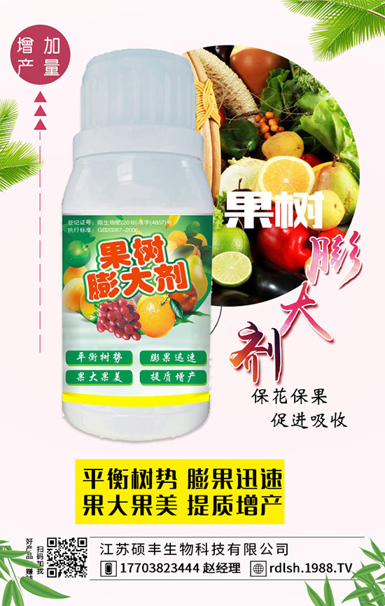 黑木耳的功效與作用，黑木耳的飲食禁忌有哪些？