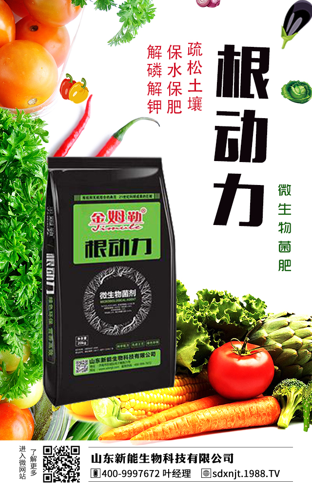 馬鈴薯需肥量大，如何給馬鈴薯施肥？